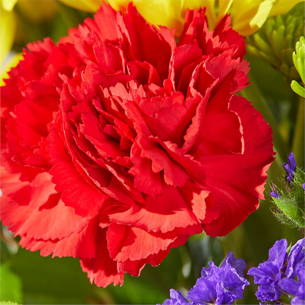 Brighter Days Bouquet –  Brown Pleasance Florists Inc, Lakewood OH