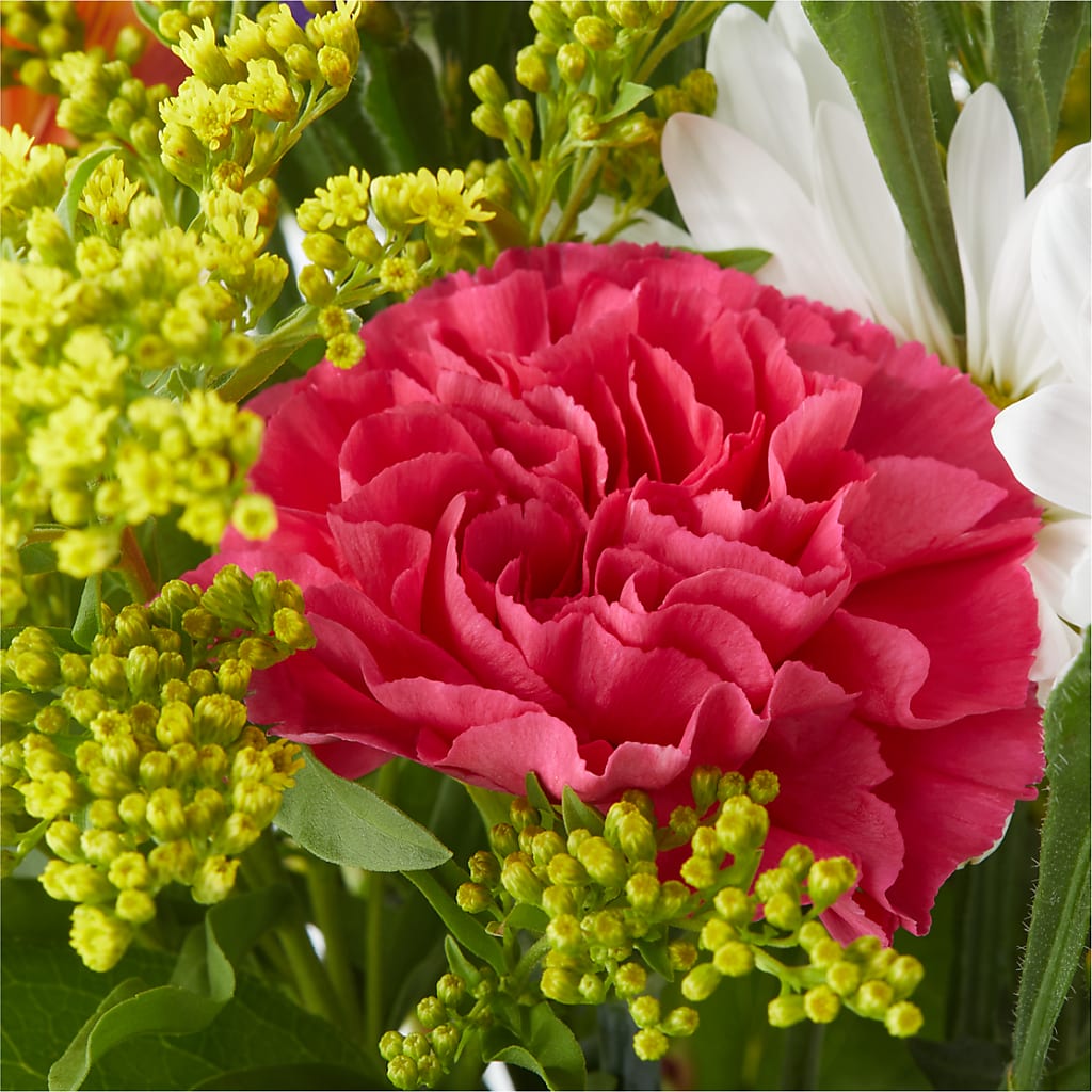 Oopsie Daisy Bouquet –  Brown Pleasance Florists Inc, Lakewood OH