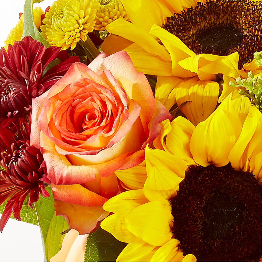 Golden Gourd Pumpkin Bouquet –  Brown Pleasance Florists Inc, Lakewood OH
