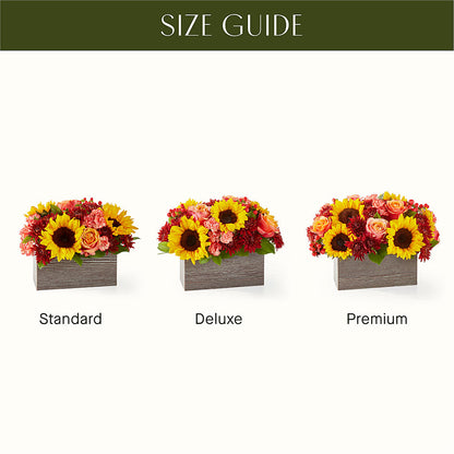 Fresh Cider Bouquet –  Brown Pleasance Florists Inc, Lakewood OH
