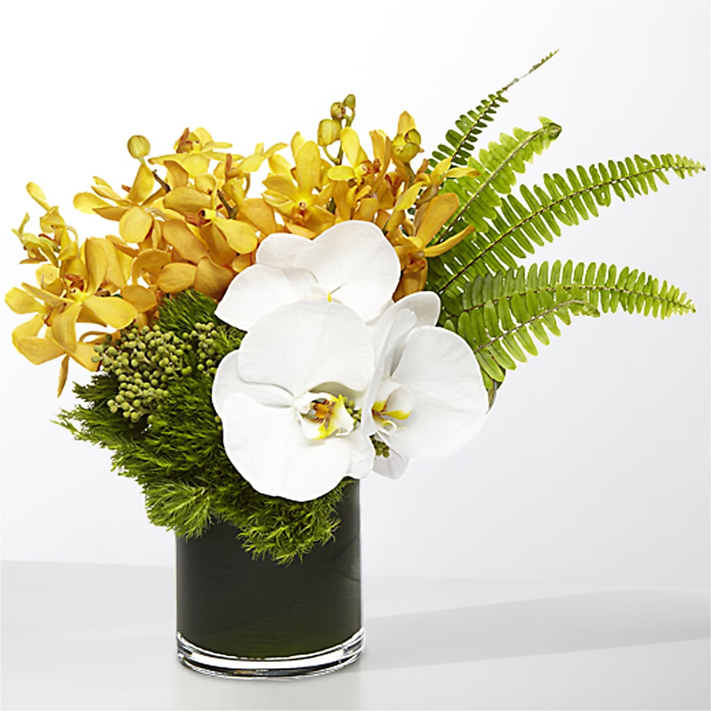 The Tropics –  Brown Pleasance Florists Inc, Lakewood OH