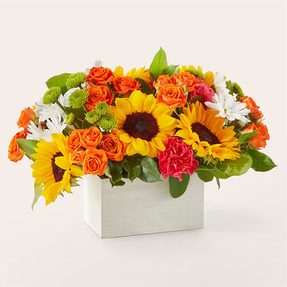 Sun-drenched Blooms Box Bouquet –  Brown Pleasance Florists Inc, Lakewood OH