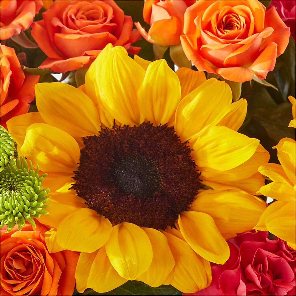 Sun-drenched Blooms Box Bouquet –  Brown Pleasance Florists Inc, Lakewood OH