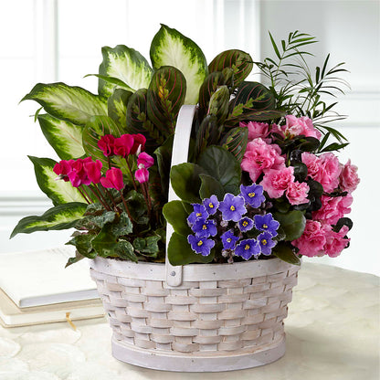 Peaceful Garden Planter –  Brown Pleasance Florists Inc, Lakewood OH