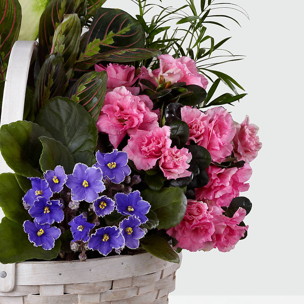 Peaceful Garden Planter –  Brown Pleasance Florists Inc, Lakewood OH
