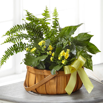 Always Dear Dishgarden –  Brown Pleasance Florists Inc, Lakewood OH