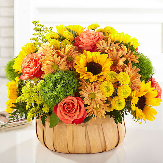 Harvest Sunflower Basket –  Brown Pleasance Florists Inc, Lakewood OH