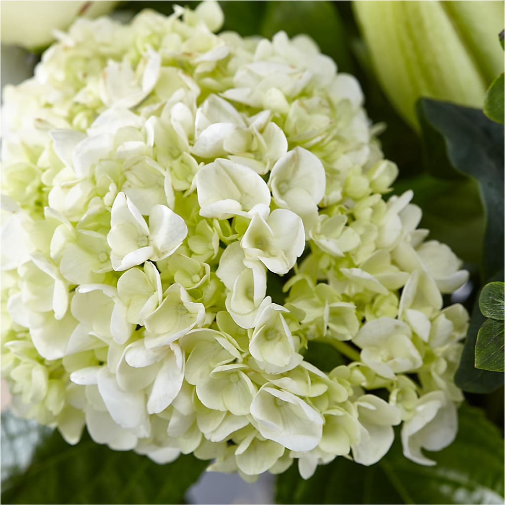 Classic Ivory – A Florist Original –  Brown Pleasance Florists Inc, Lakewood OH