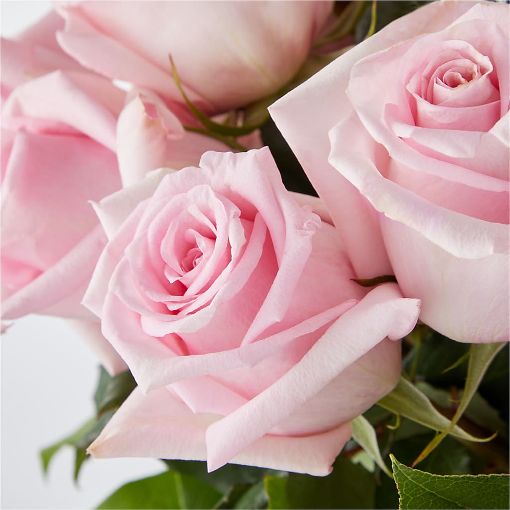 Picture Perfect Pink Rose Bouquet –  Brown Pleasance Florists Inc, Lakewood OH