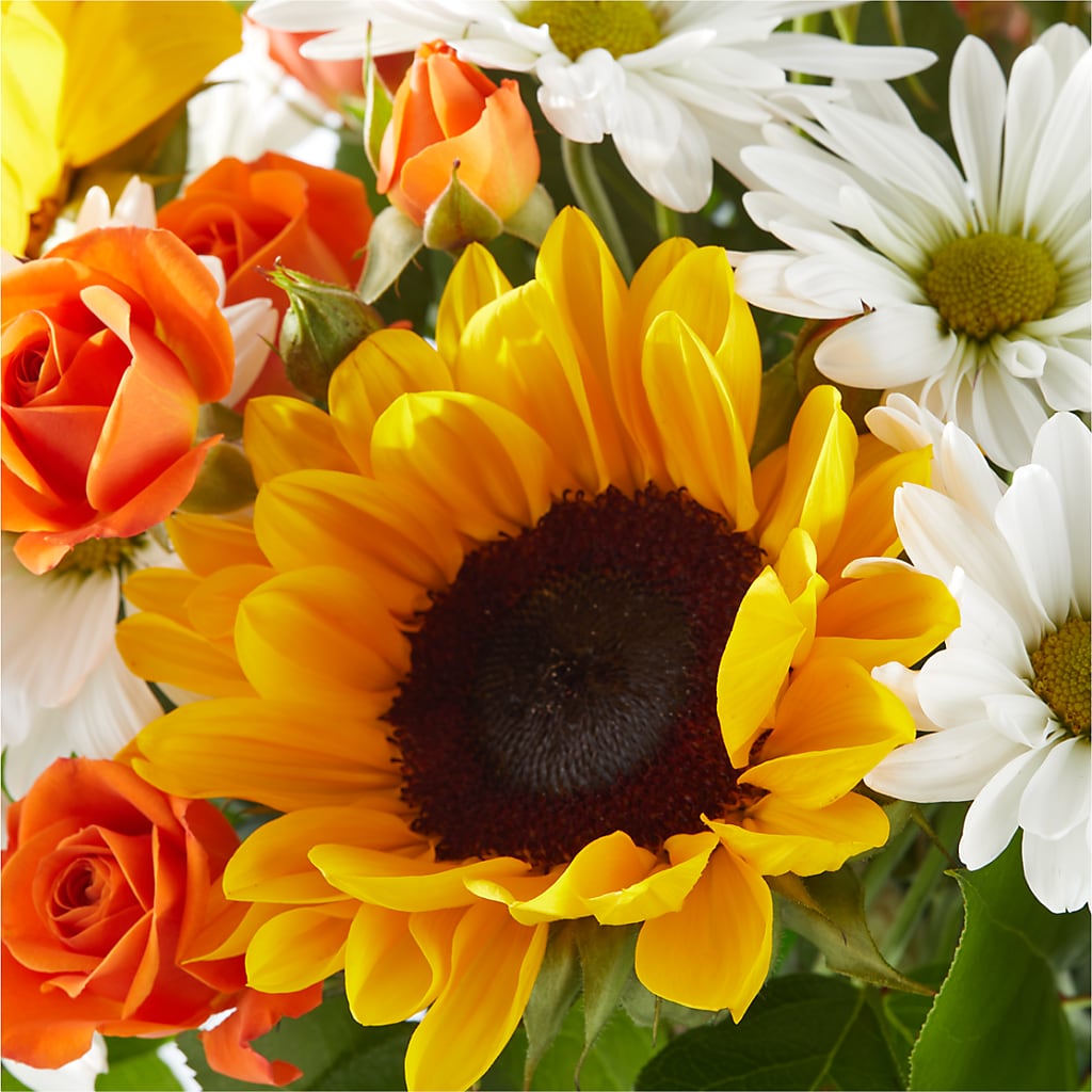 Sun-drenched Blooms Bouquet –  Brown Pleasance Florists Inc, Lakewood OH