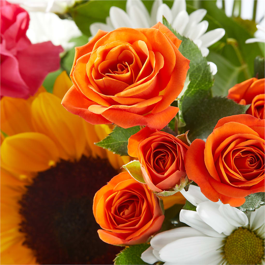Sun-drenched Blooms Bouquet –  Brown Pleasance Florists Inc, Lakewood OH