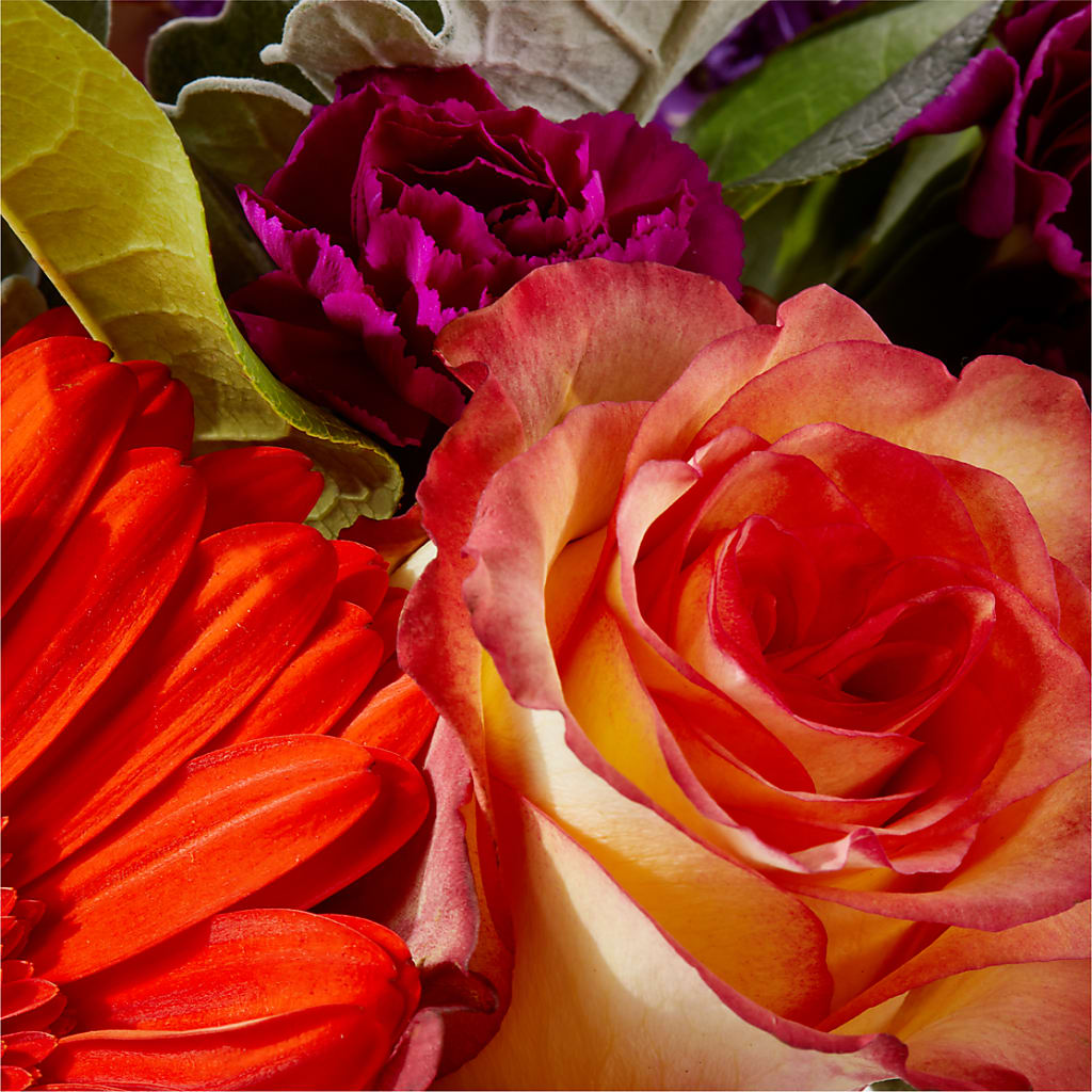 Sangria Bouquet –  Brown Pleasance Florists Inc, Lakewood OH