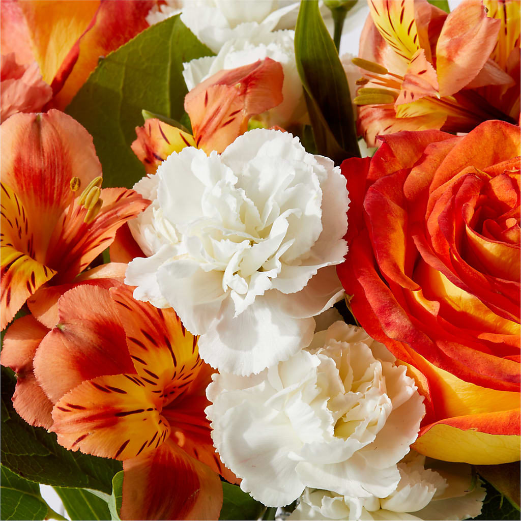 Apricot Glow Bouquet –  Brown Pleasance Florists Inc, Lakewood OH