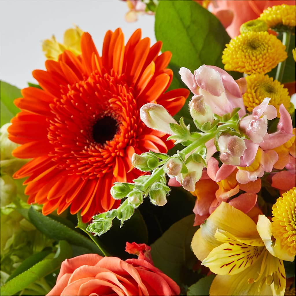 Autumn Sunshine Bouquet –  Brown Pleasance Florists Inc, Lakewood OH