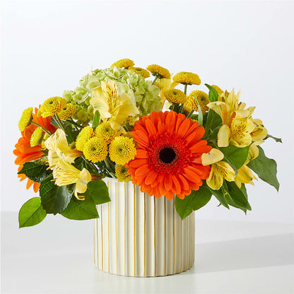 Autumn Sunshine Bouquet with Ivory Vase –  Brown Pleasance Florists Inc, Lakewood OH