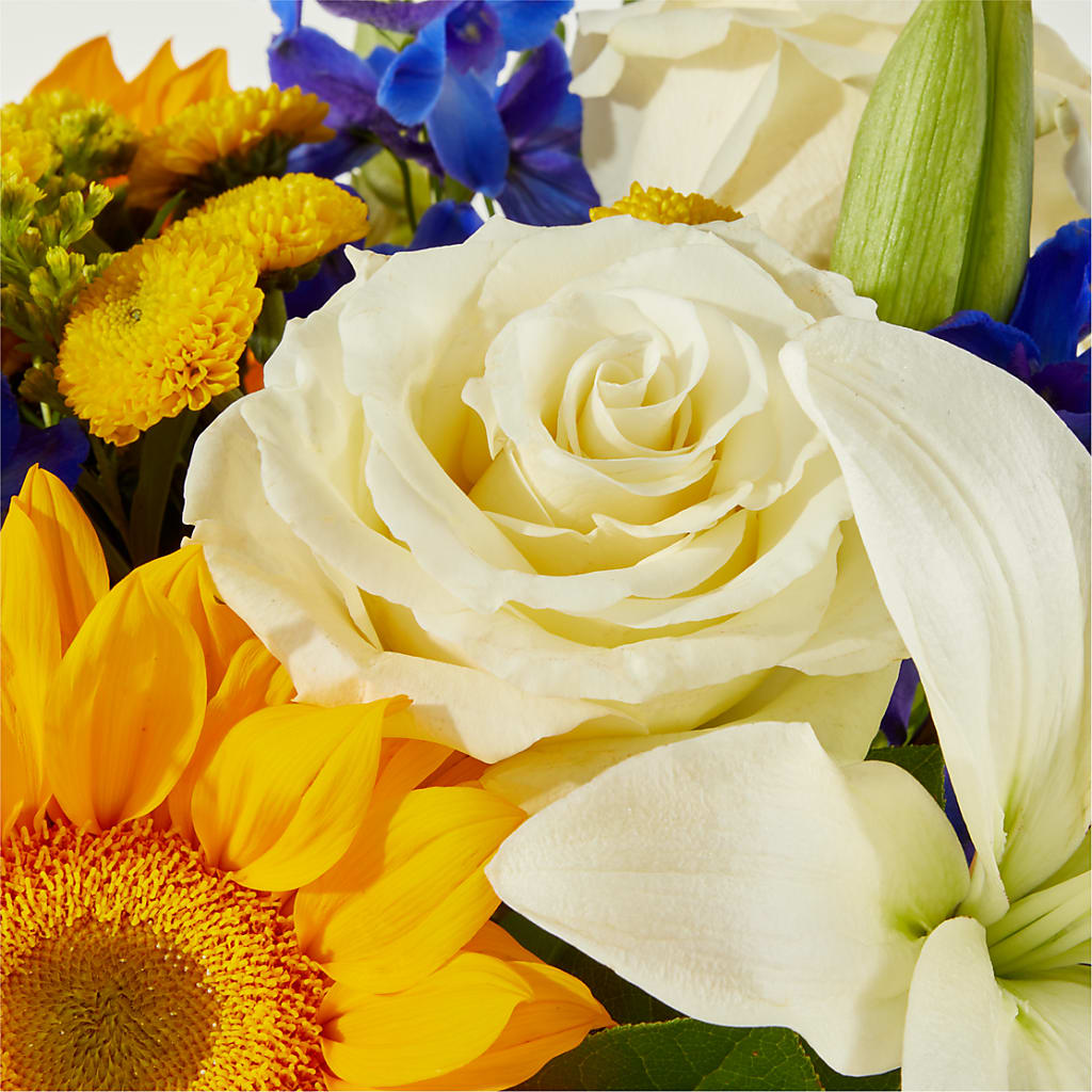 Stargazing Bouquet –  Brown Pleasance Florists Inc, Lakewood OH