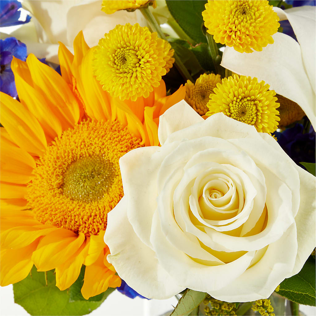 Stargazing Bouquet –  Brown Pleasance Florists Inc, Lakewood OH