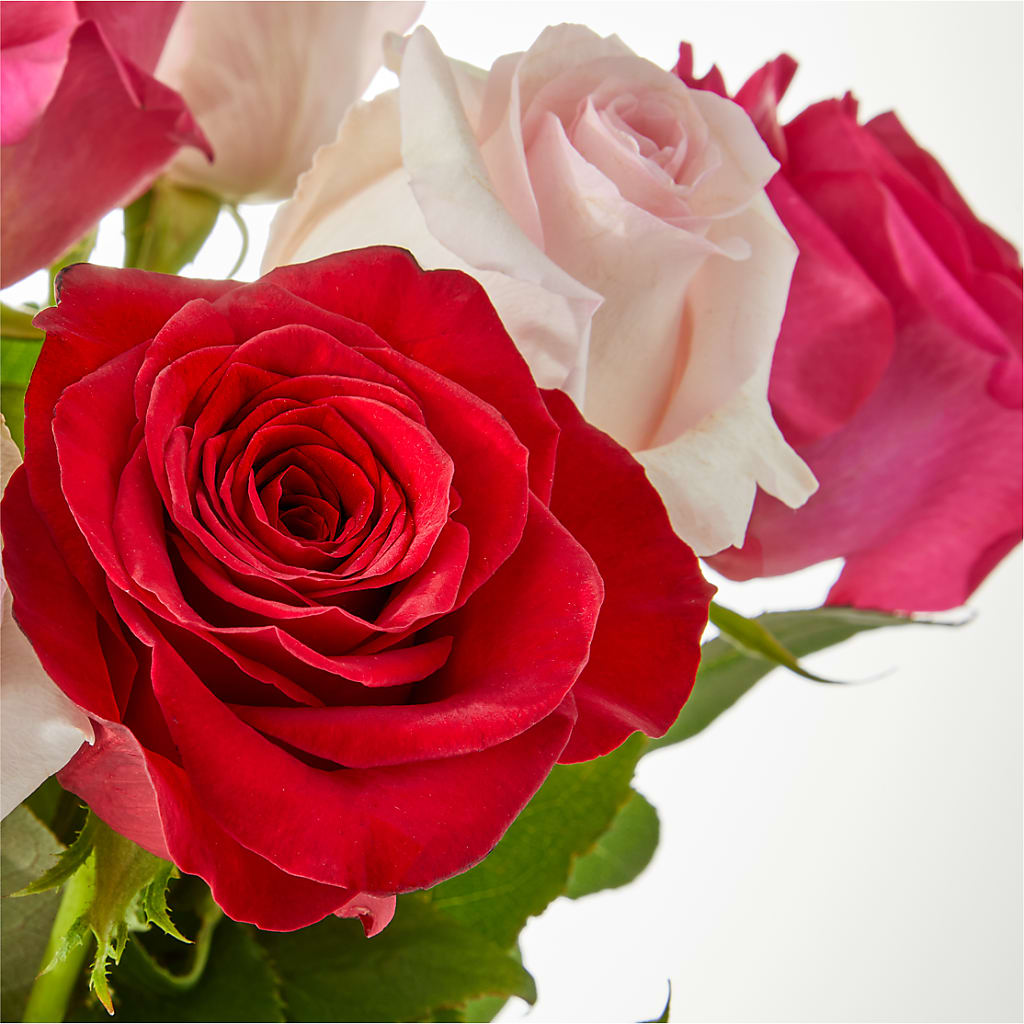 Charming Rose Bouquet –  Brown Pleasance Florists Inc, Lakewood OH