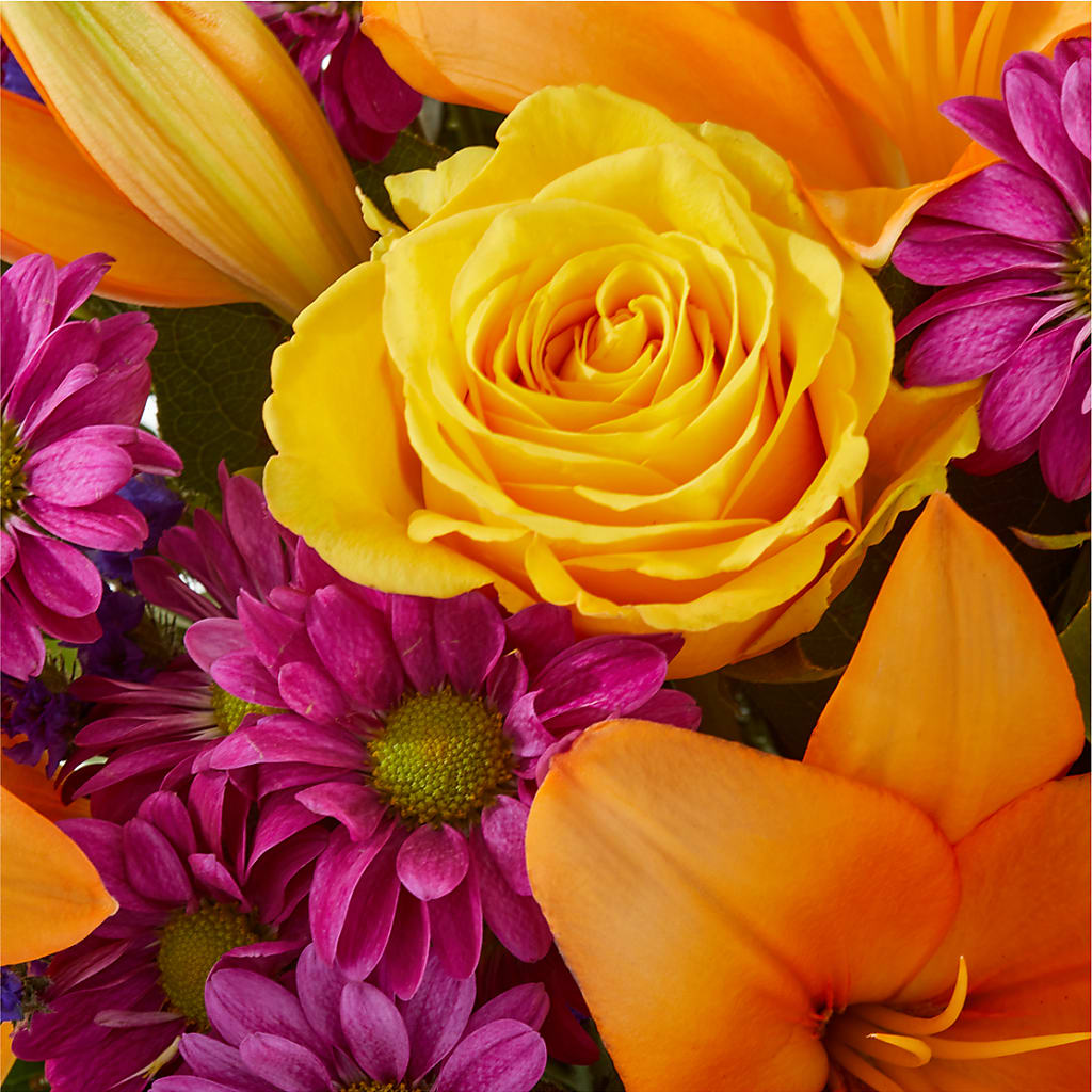 Colorful Visions Bouquet –  Brown Pleasance Florists Inc, Lakewood OH