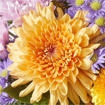 Countryside Bouquet –  Brown Pleasance Florists Inc, Lakewood OH