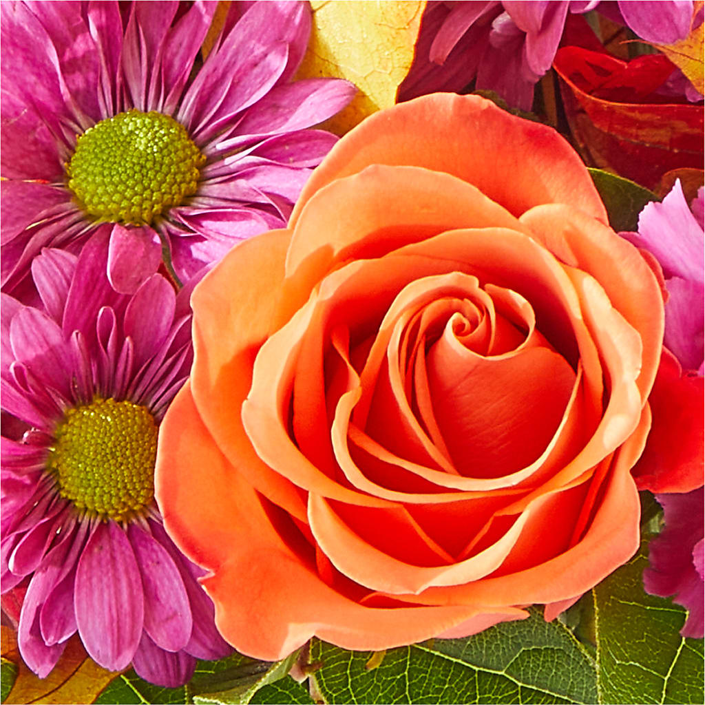 Mum's the Word Bouquet –  Brown Pleasance Florists Inc, Lakewood OH