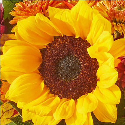 Sunny Side Bouquet –  Brown Pleasance Florists Inc, Lakewood OH