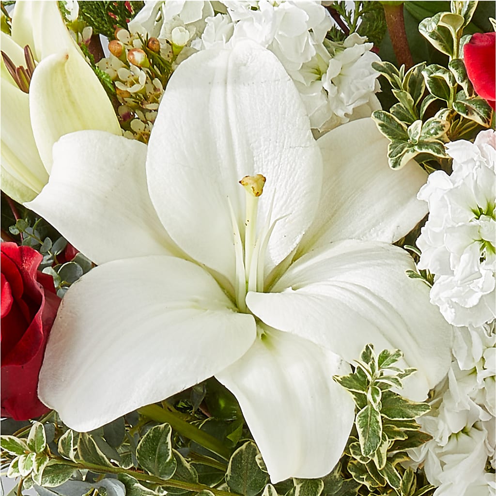 Twinkle Lights Bouquet –  Brown Pleasance Florists Inc, Lakewood OH