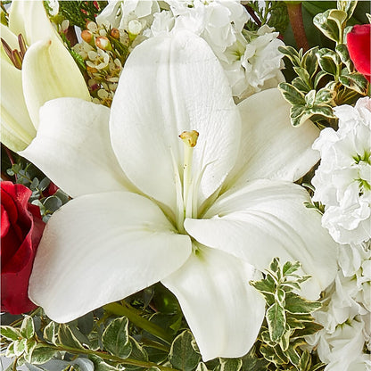 Twinkle Lights Bouquet –  Brown Pleasance Florists Inc, Lakewood OH