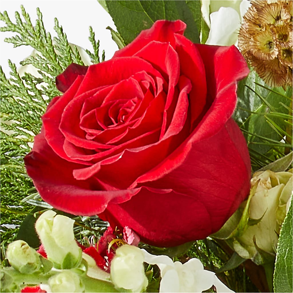 Deck the Halls Bouquet –  Brown Pleasance Florists Inc, Lakewood OH