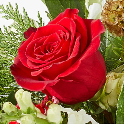 Deck the Halls Bouquet –  Brown Pleasance Florists Inc, Lakewood OH