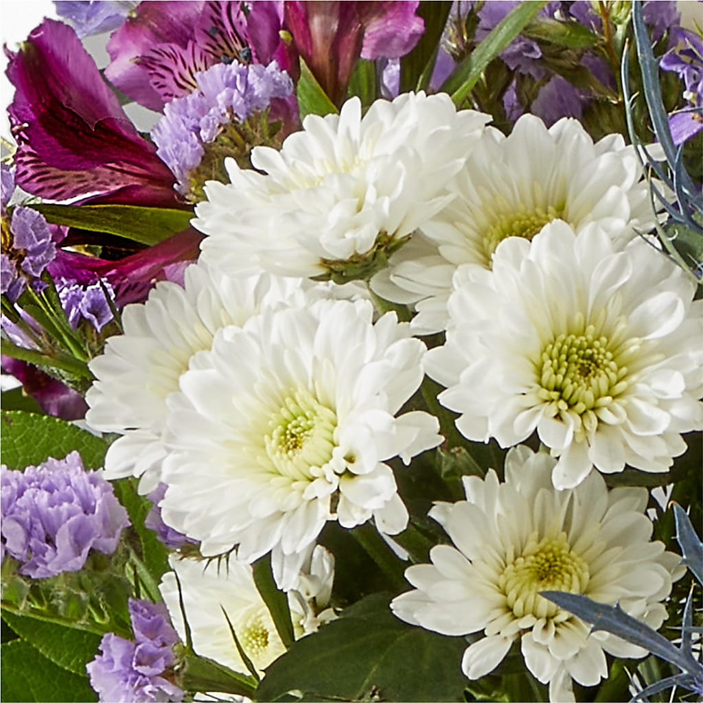 Shooting Star Bouquet –  Brown Pleasance Florists Inc, Lakewood OH