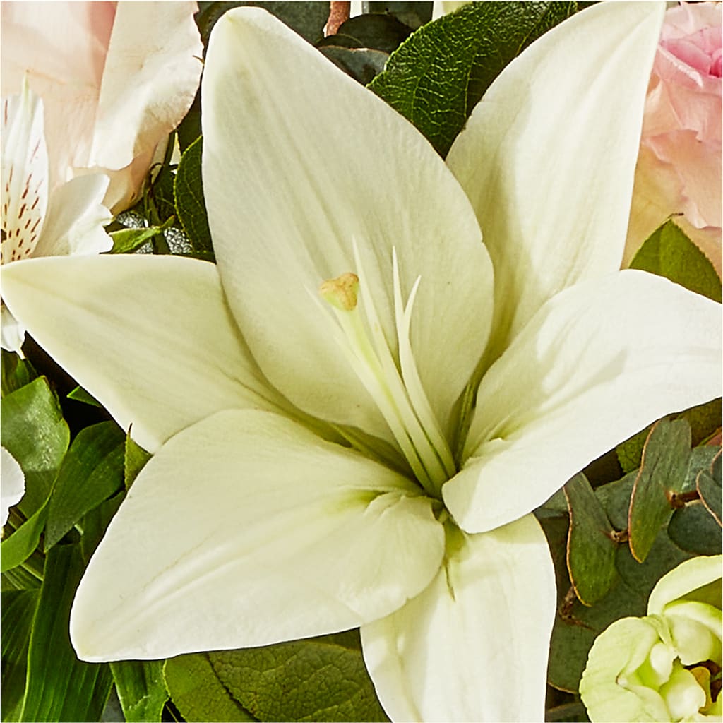 Ballet Slippers Bouquet –  Brown Pleasance Florists Inc, Lakewood OH