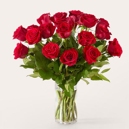 The One Red Rose Bouquet –  Brown Pleasance Florists Inc, Lakewood OH