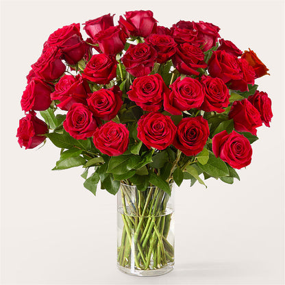 The One Red Rose Bouquet –  Brown Pleasance Florists Inc, Lakewood OH