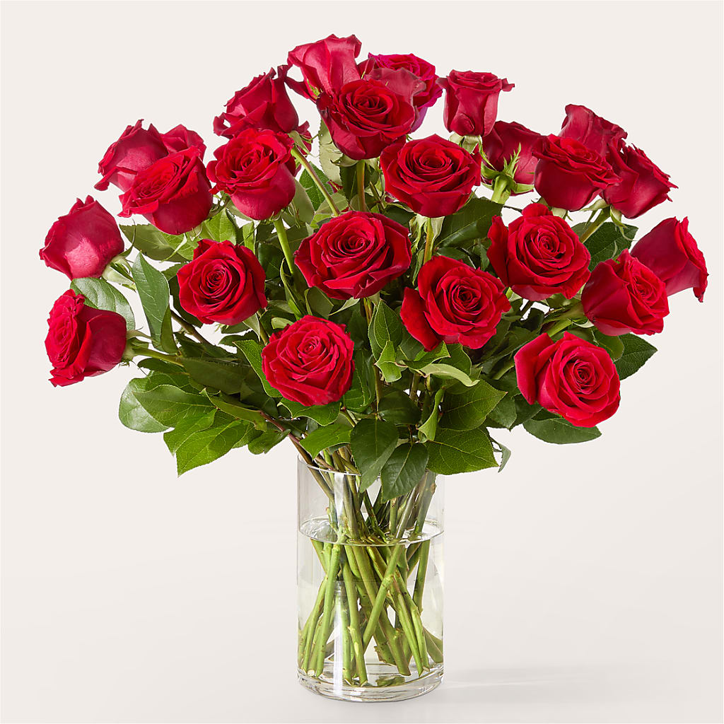 The One Red Rose Bouquet –  Brown Pleasance Florists Inc, Lakewood OH