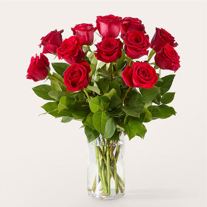 The One Red Rose Bouquet –  Brown Pleasance Florists Inc, Lakewood OH