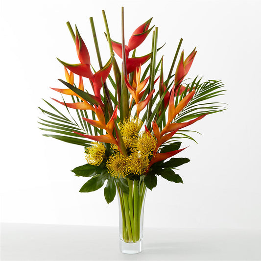 The Drama –  Brown Pleasance Florists Inc, Lakewood OH