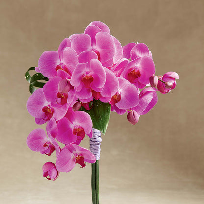Glorious Bouquet –  Brown Pleasance Florists Inc, Lakewood OH