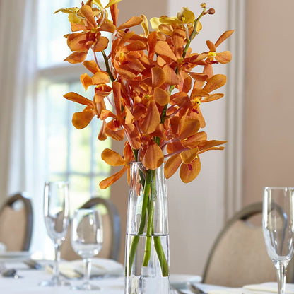 Orange Mokara Bud Vase –  Brown Pleasance Florists Inc, Lakewood OH