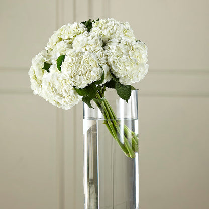 White Hydrangea Hand-Tied Bouquet –  Brown Pleasance Florists Inc, Lakewood OH