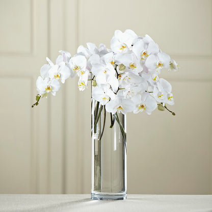 White Phalaenopsis Bouquet –  Brown Pleasance Florists Inc, Lakewood OH
