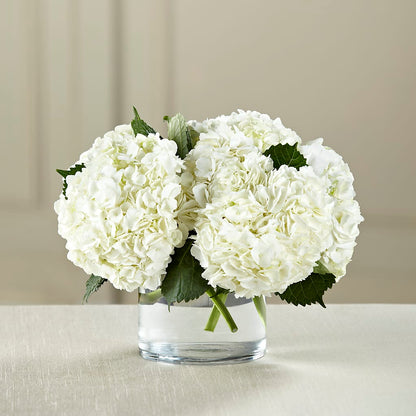 White Hydrangea Bouquet –  Brown Pleasance Florists Inc, Lakewood OH